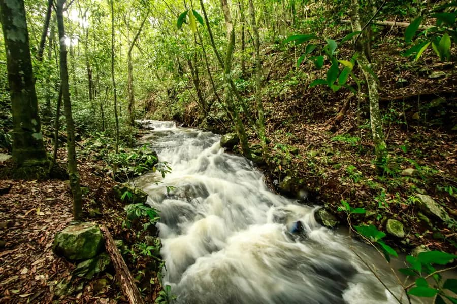 Cachoeira Escondida – Ecoparque Sperry
