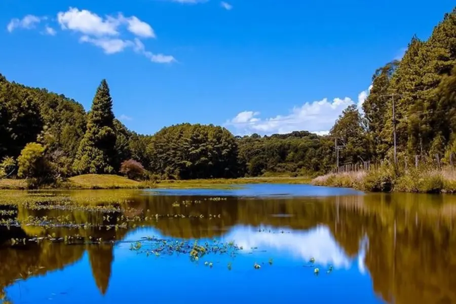 Caminho das Araucárias – trecho FLONA de Canela