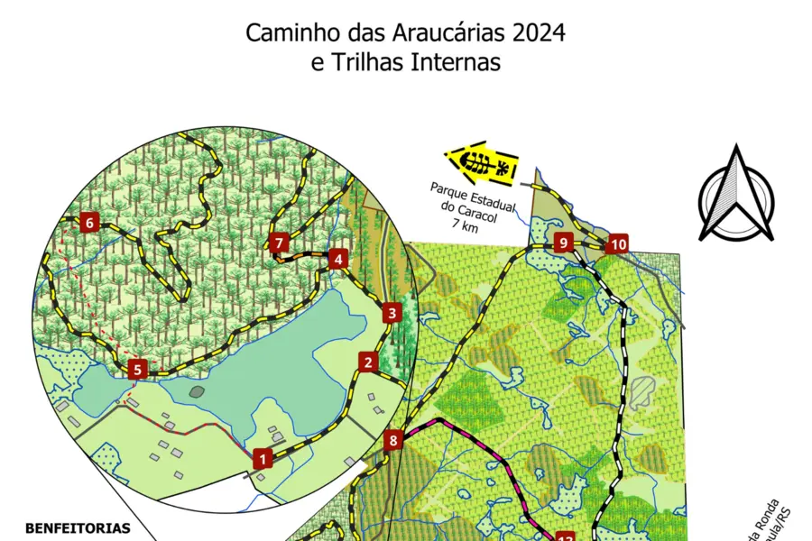 Trilha Curta da FLONA de Canela (4,5 km)