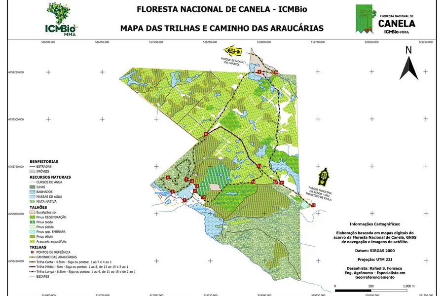Trilha Longa da FLONA de Canela (8,6 km)