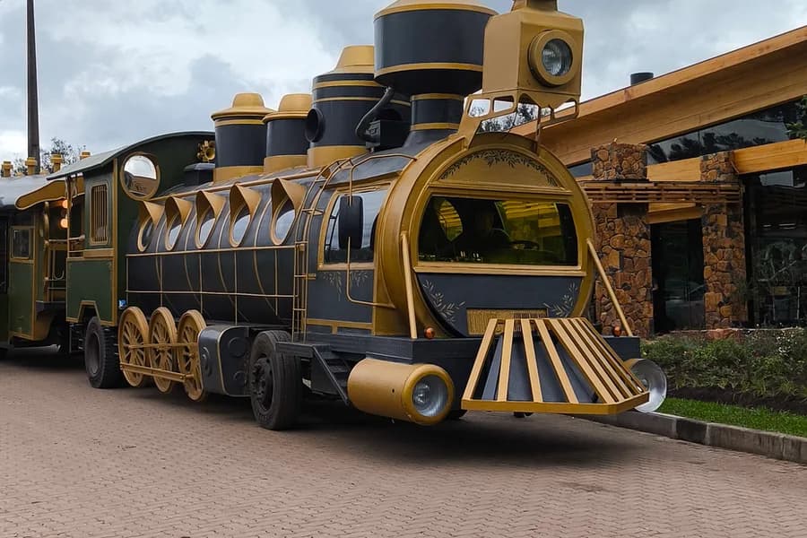 Tour Rural – Olivas de Gramado