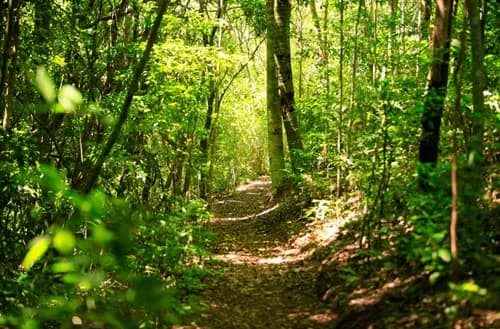Ecoparque Sperry