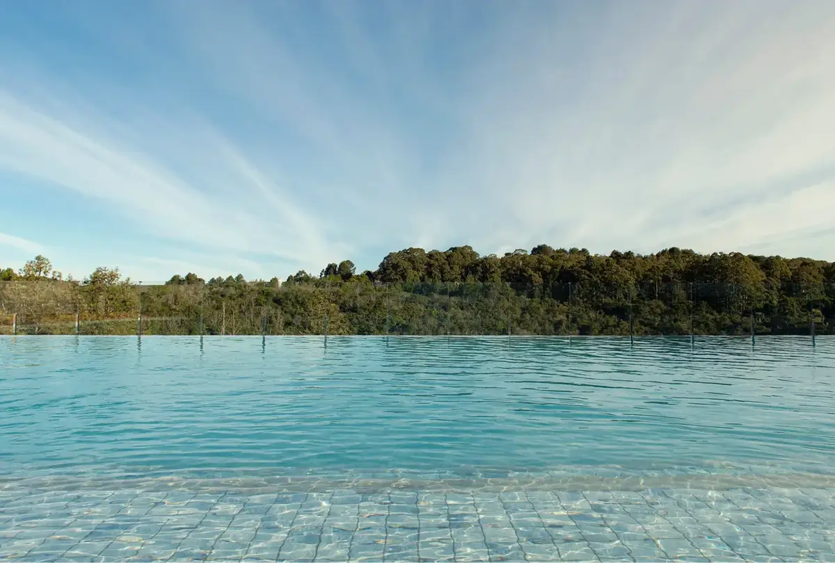 Alegria Infinita – Acquamotion