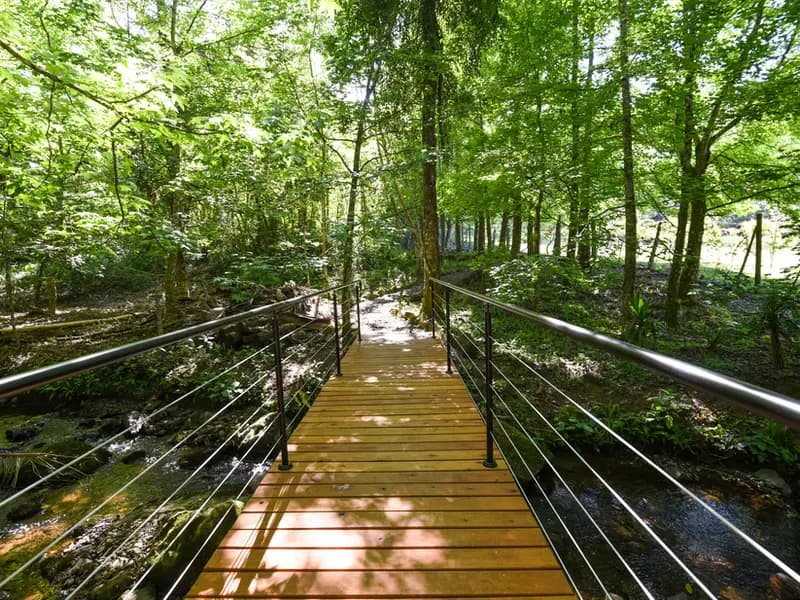 Ponte dos Plátanos – Garden Park Gramado