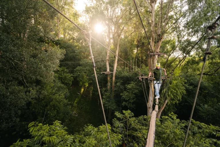 Arvorismo + Tirolesas – Alpen Park