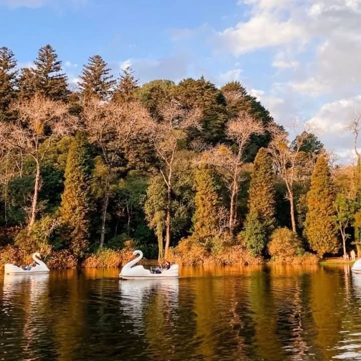 Lago Negro