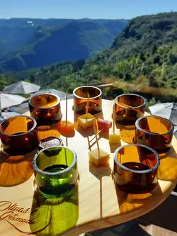 Olivas de Gramado — foto 4
