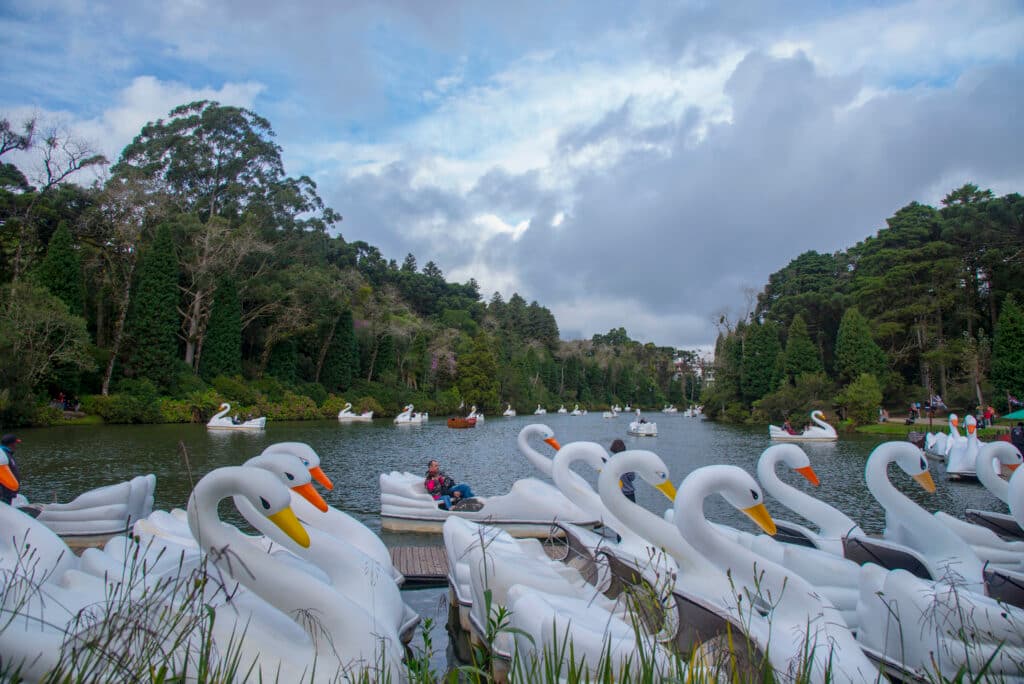 Lago Negro