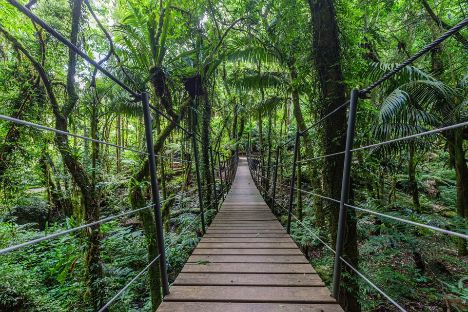 Ponte Pênsil – Garden Park Gramado