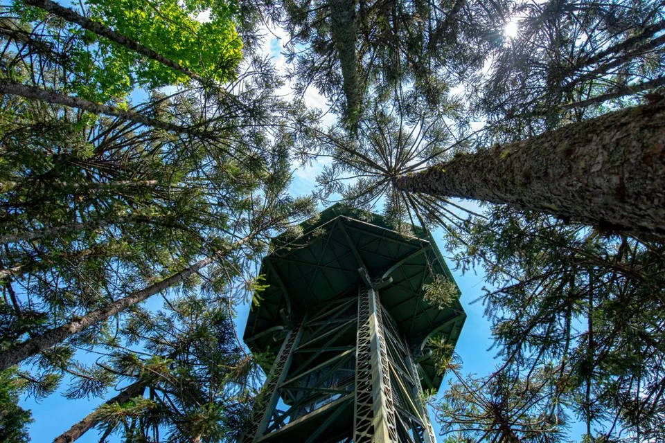 Observatório / Torre Araucária – Parque do Caracol